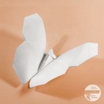 Farfalla 2