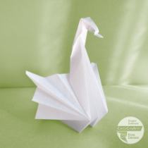Cigno 2