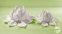 Fiori di loto versione 2