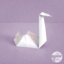 Cigno 1