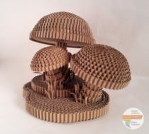 Tre funghi