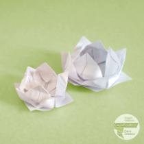 Fiori di loto versione 1
